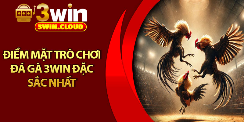 Đá Gà 3Win – 3 Hình Thức Cược Hot Nhất, Thắng Lớn Mỗi Ngày 3 Điểm mặt trò chơi đá gà 3Win đặc sắc nhất