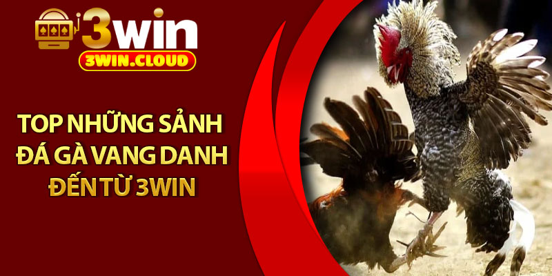 Đá Gà 3Win – 3 Hình Thức Cược Hot Nhất, Thắng Lớn Mỗi Ngày 2 Top những sảnh đá gà vang danh đến từ 3Win